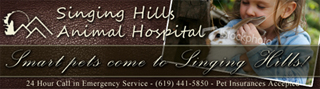 Singing Hills Website Design / Consultation