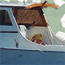 White Water Charters Rack Card